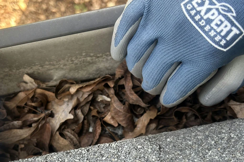 Gutter Cleaning Rosenberg, TX